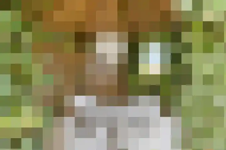 Hunenveldlaan 194 Oldenzaal thumbnail 38