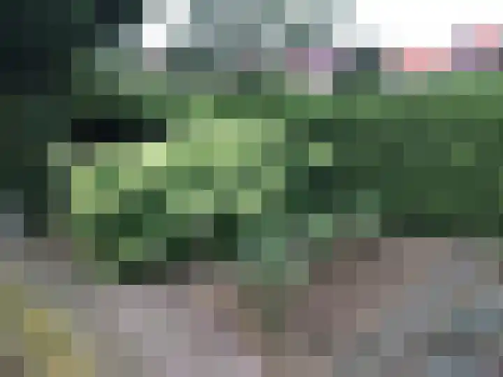 Hunenveldlaan 194 Oldenzaal thumbnail 40