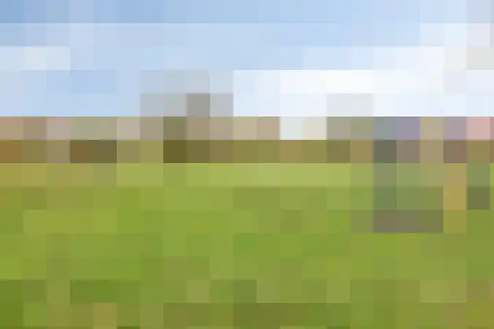 Hunenveldlaan 194 Oldenzaal thumbnail 45