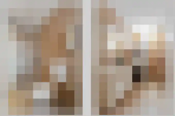 Hunenveldlaan 31 Oldenzaal thumbnail 12