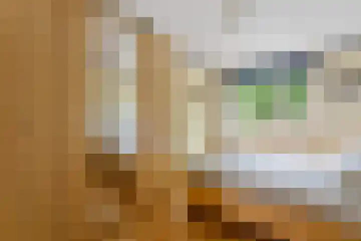 Hunenveldlaan 31 Oldenzaal thumbnail 13