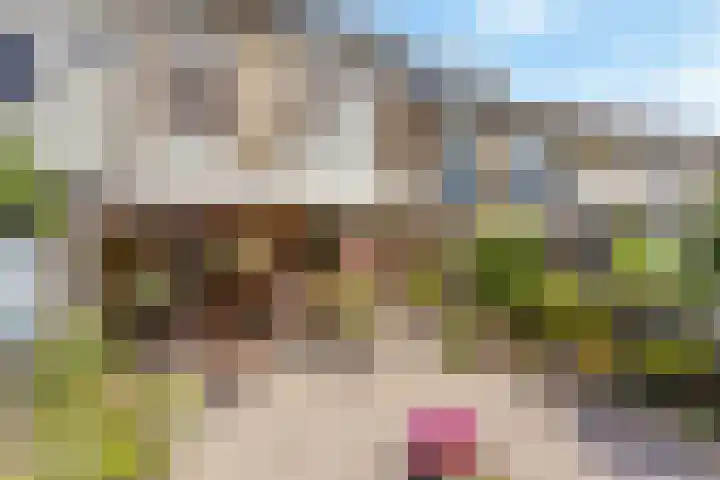 Hunenveldlaan 31 Oldenzaal thumbnail 17