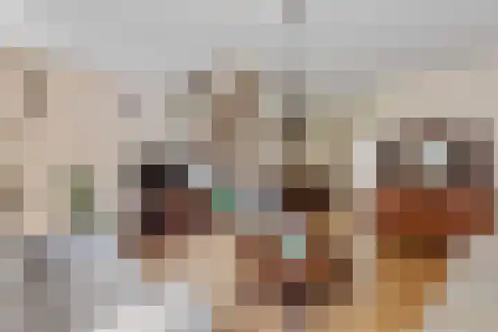 Hunenveldlaan 31 Oldenzaal thumbnail 9