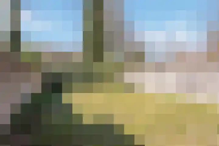 Hunenveldlaan 43 Oldenzaal thumbnail 4