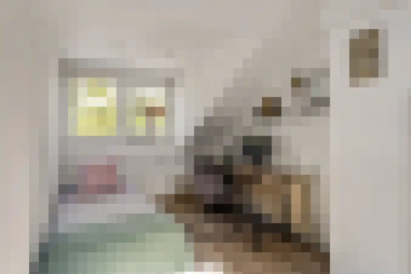 Hunenveldlaan 5 Oldenzaal thumbnail 15