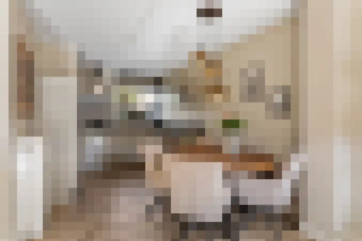 Hunenveldlaan 5 Oldenzaal thumbnail 9