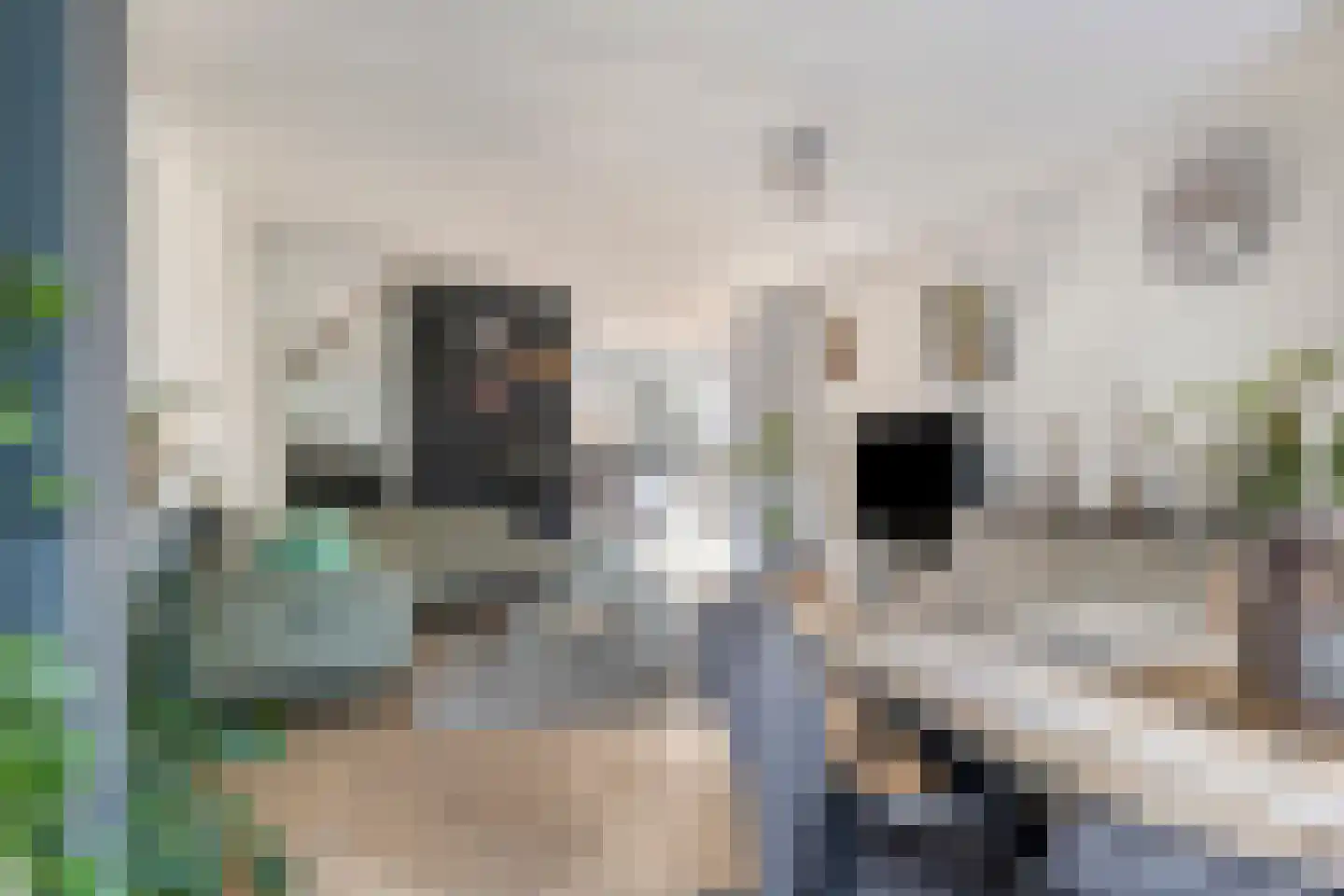 Hunenveldlaan 64 Oldenzaal thumbnail 4