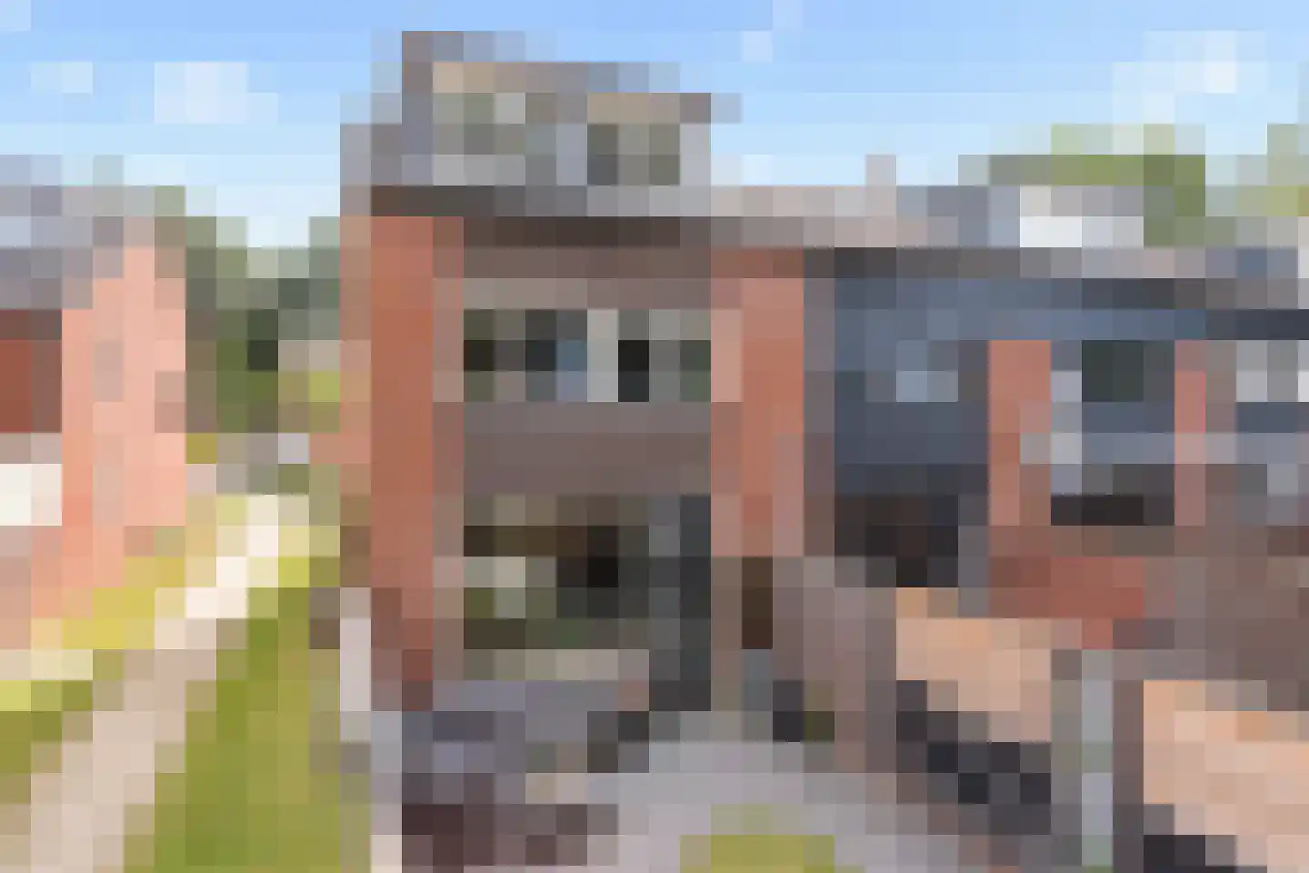 Hunenveldlaan 68 Oldenzaal thumbnail 19