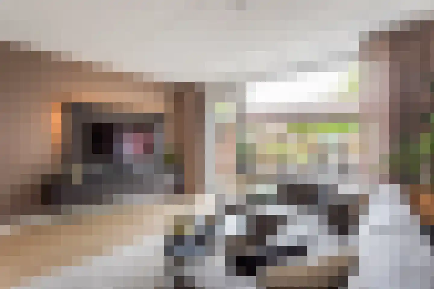 Hunenveldlaan 74 Oldenzaal thumbnail 7