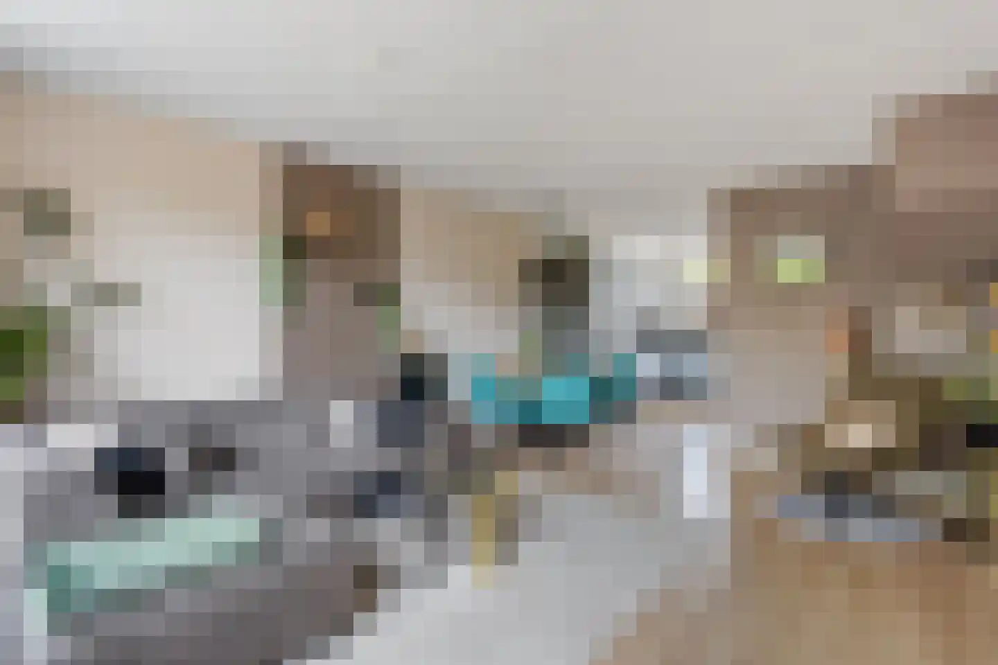 Hunenveldlaan 74 Oldenzaal thumbnail 8