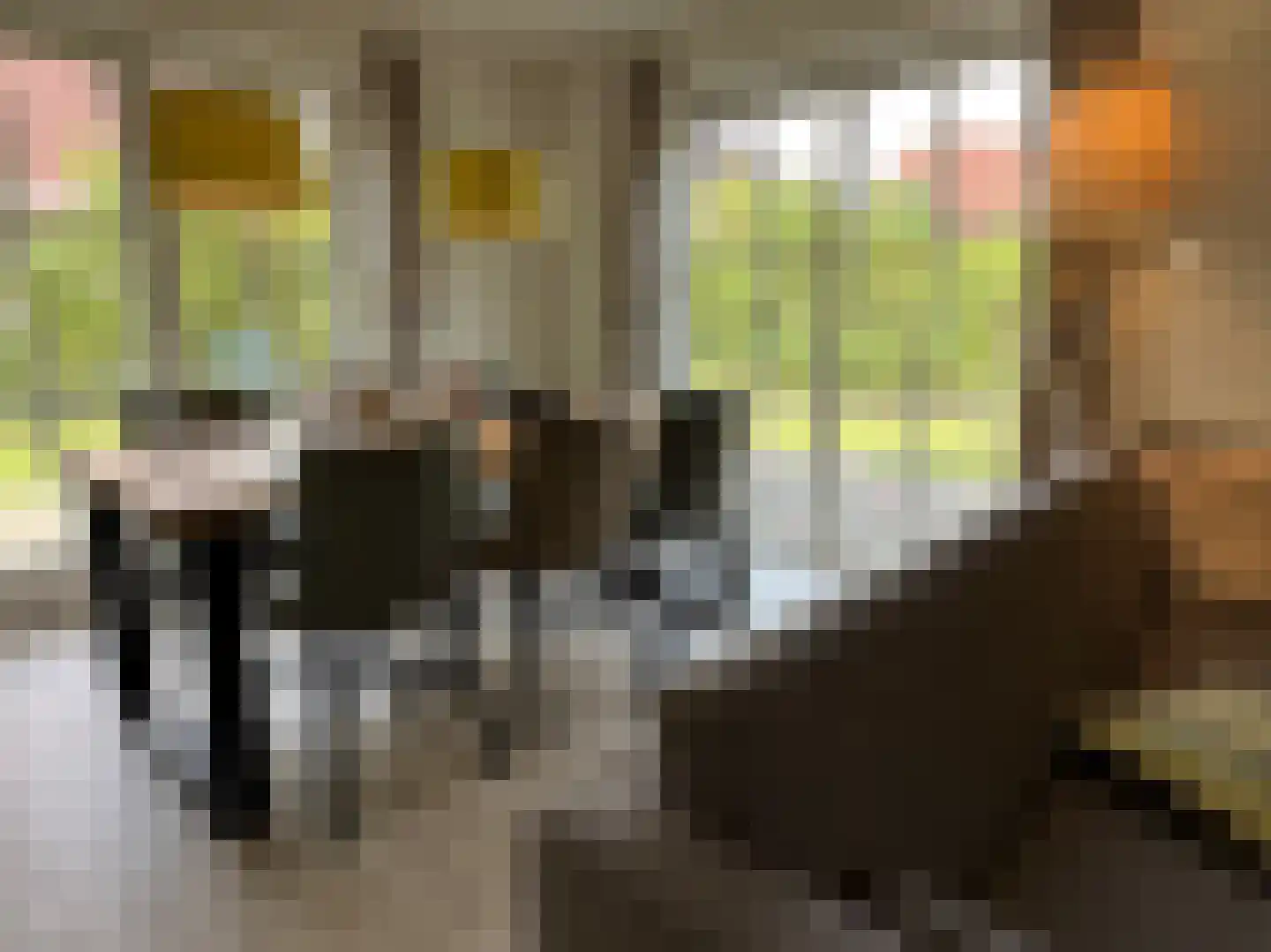 Hunerwold State 55 Wateren thumbnail 9