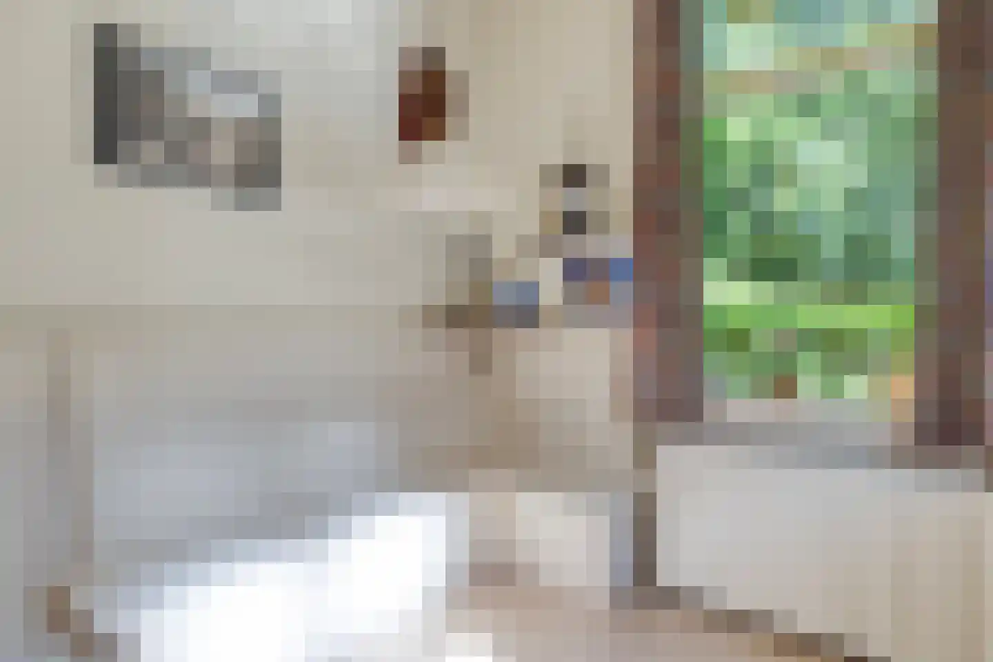 Hungerinkpad 3 Eefde thumbnail 11