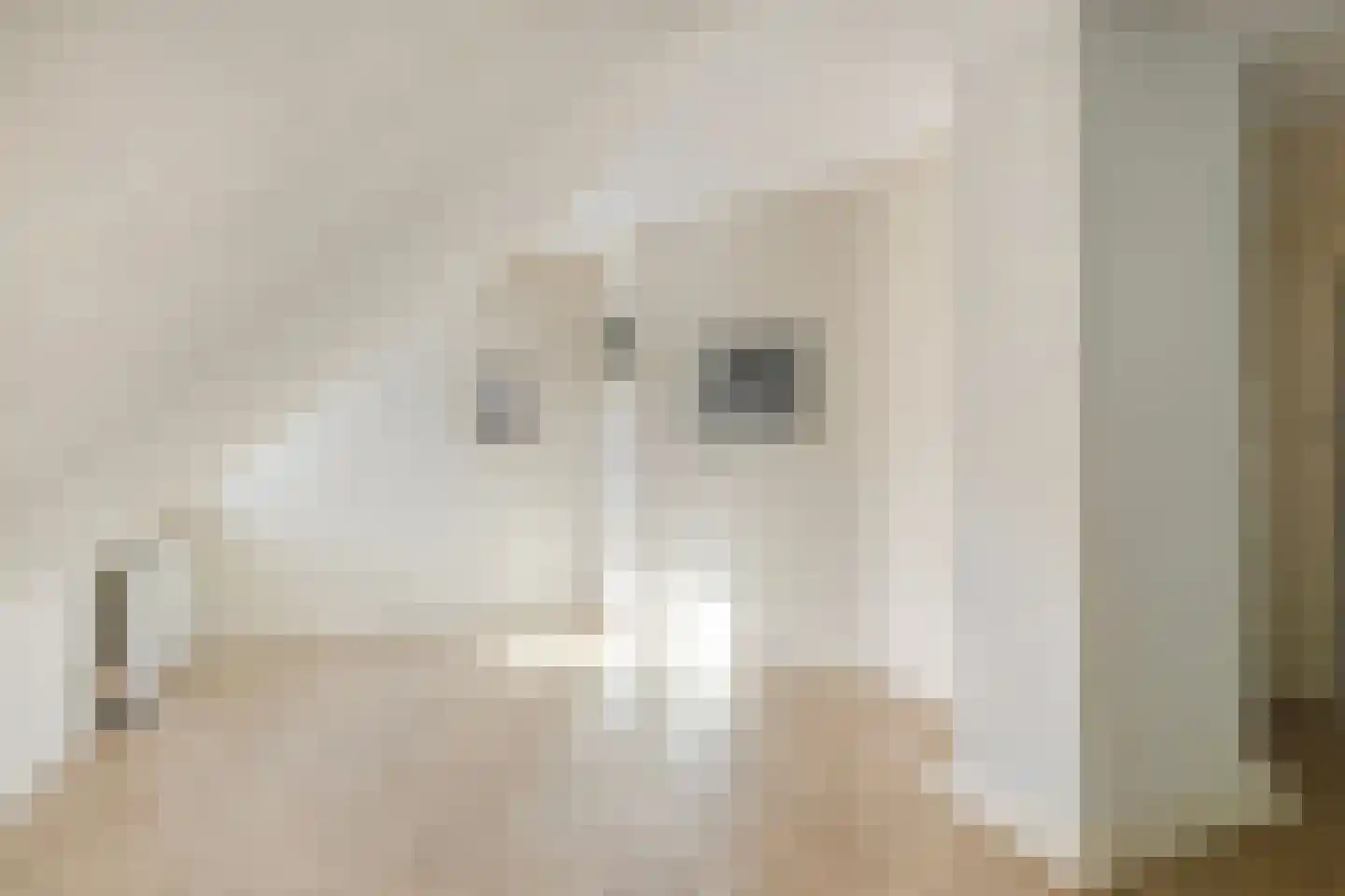Hungerinkpad 3 Eefde thumbnail 23
