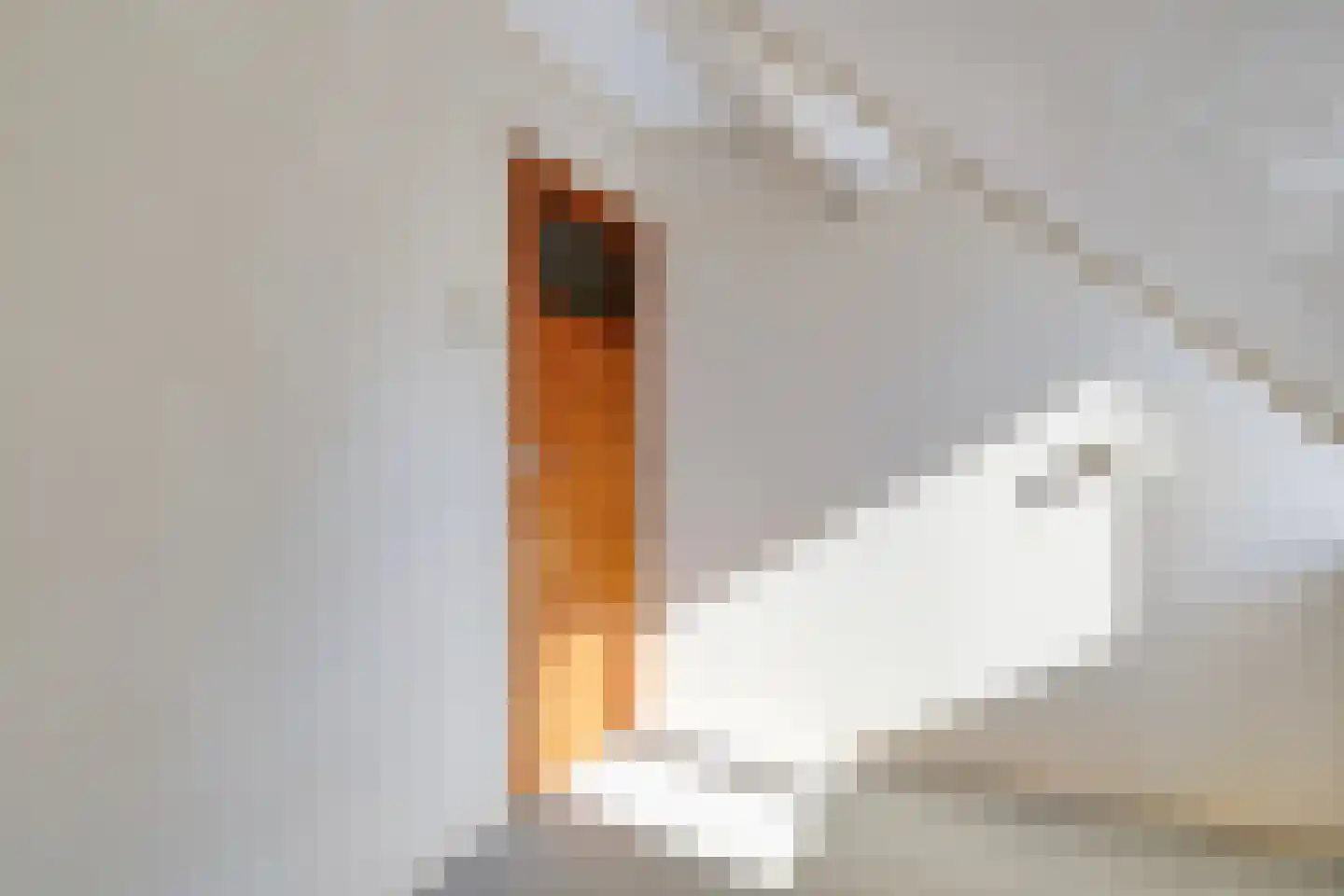 Hungerinkpad 3 Eefde thumbnail 27