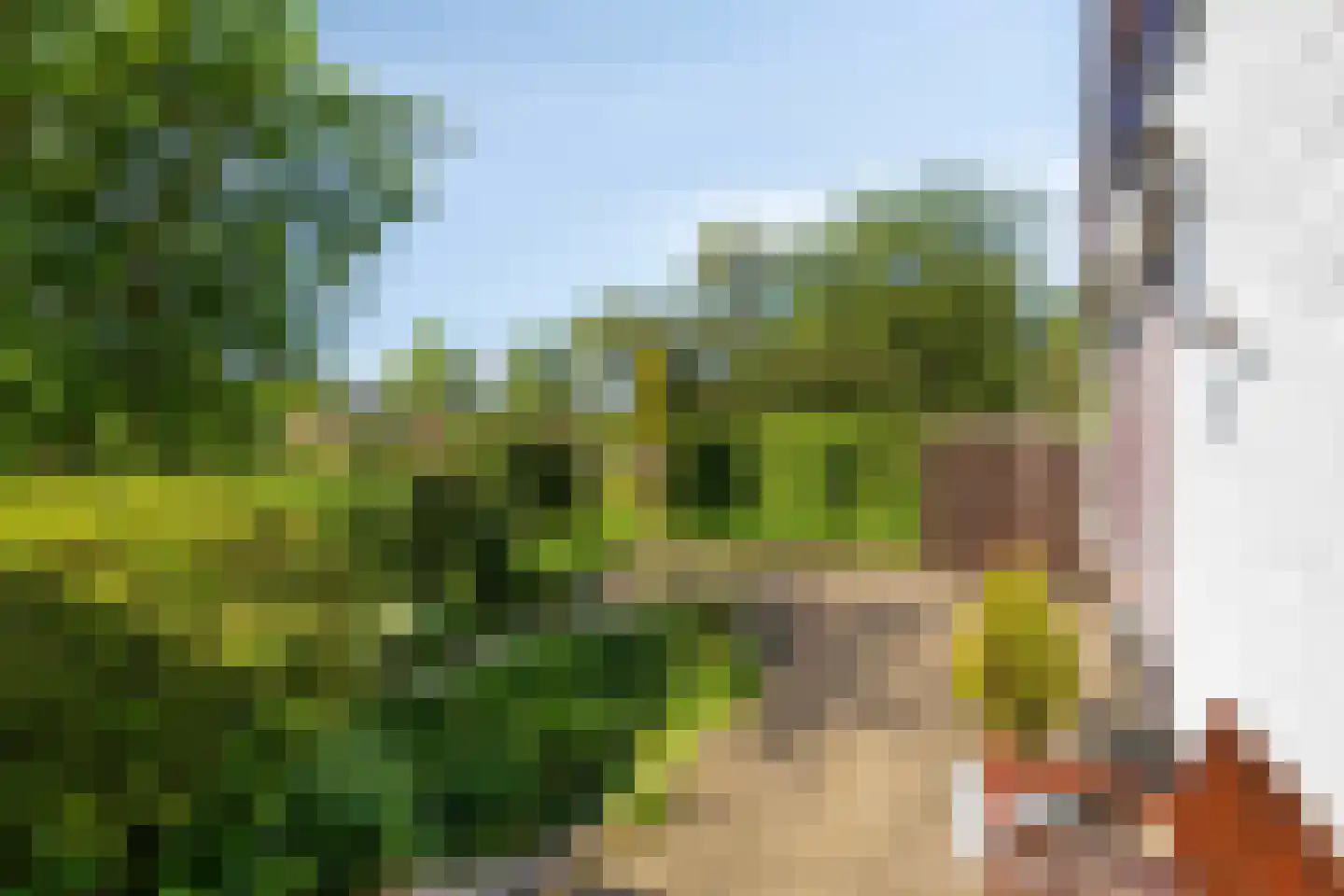 Hungerinkpad 3 Eefde thumbnail 33