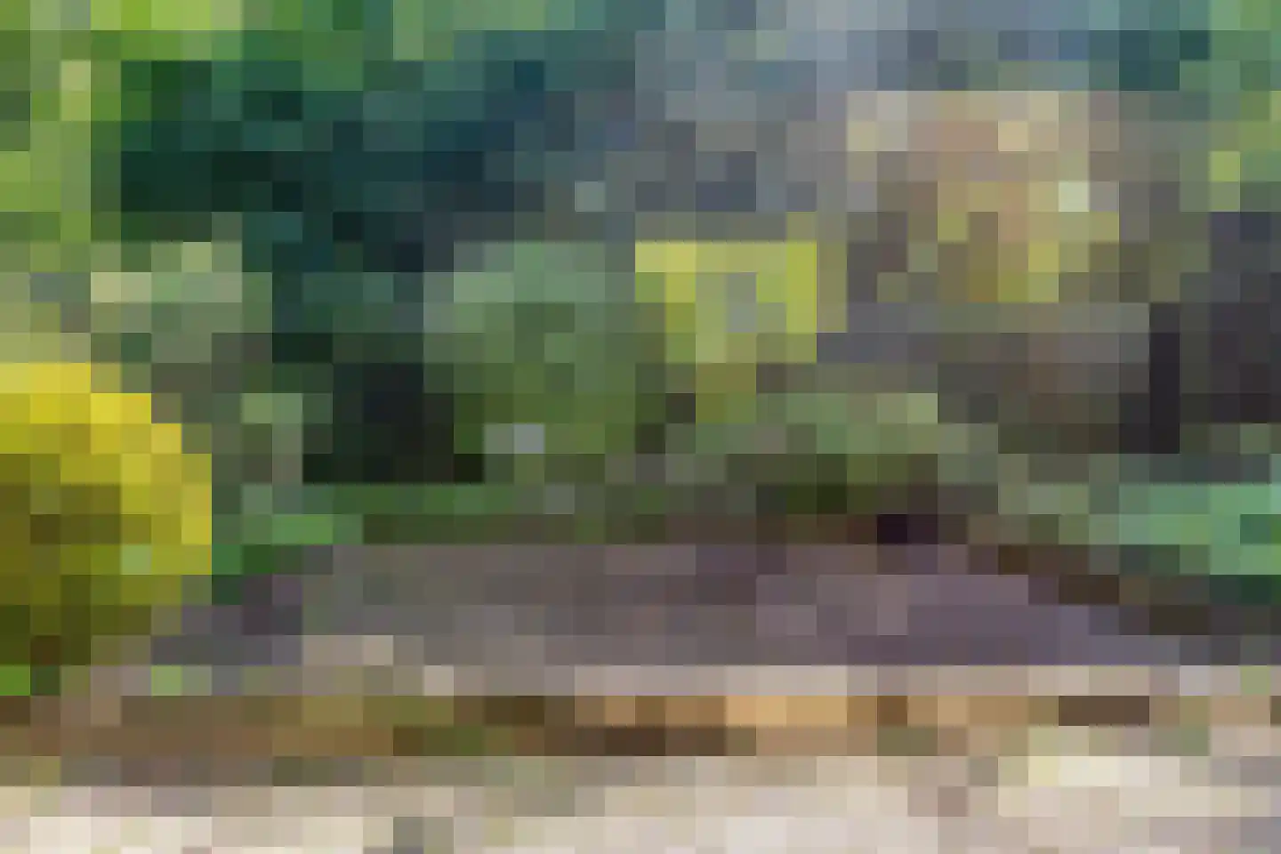 Hungerinkpad 3 Eefde thumbnail 35
