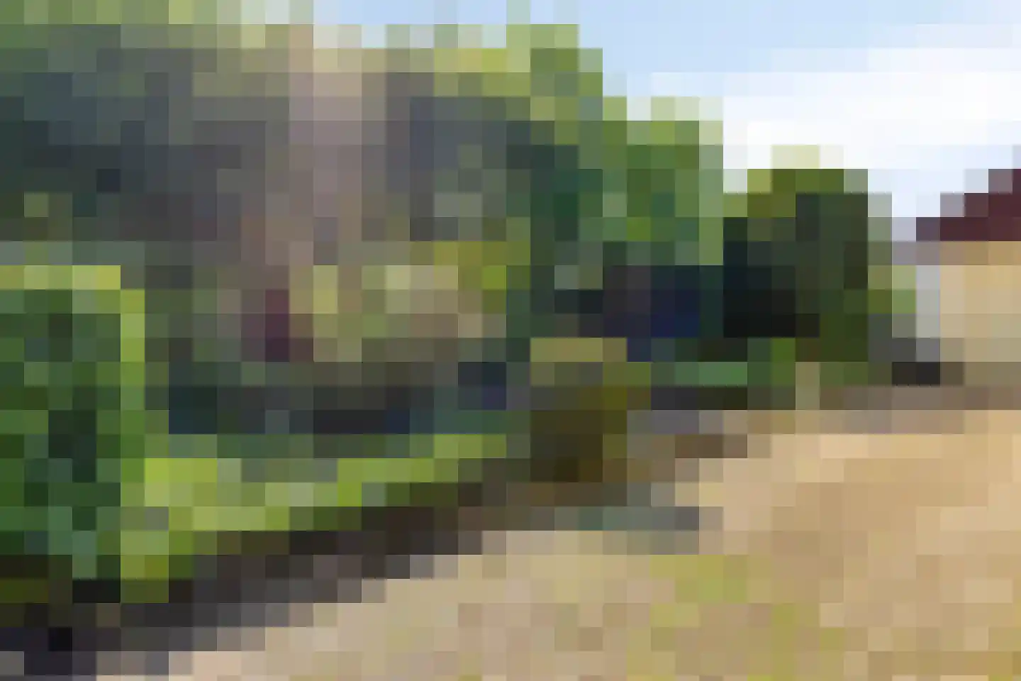 Hungerinkpad 3 Eefde thumbnail 36