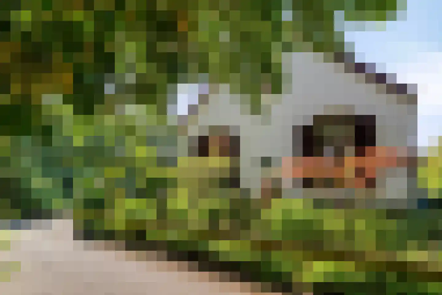 Hungerinkpad 3 Eefde thumbnail 4