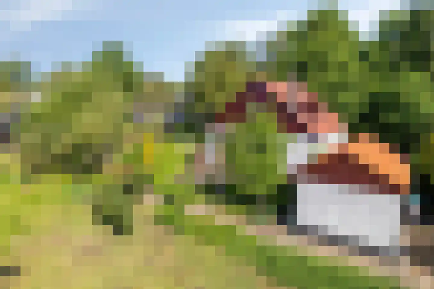 Hungerinkpad 3 Eefde thumbnail 40