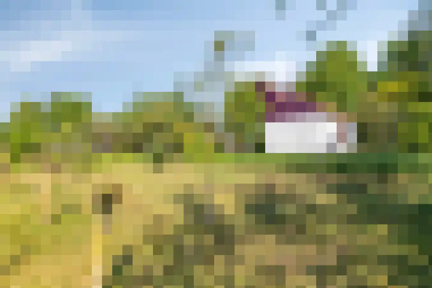 Hungerinkpad 3 Eefde thumbnail 47