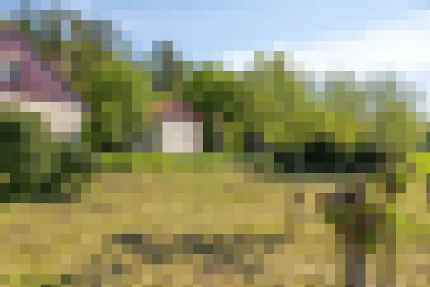 Hungerinkpad 3 Eefde thumbnail 48