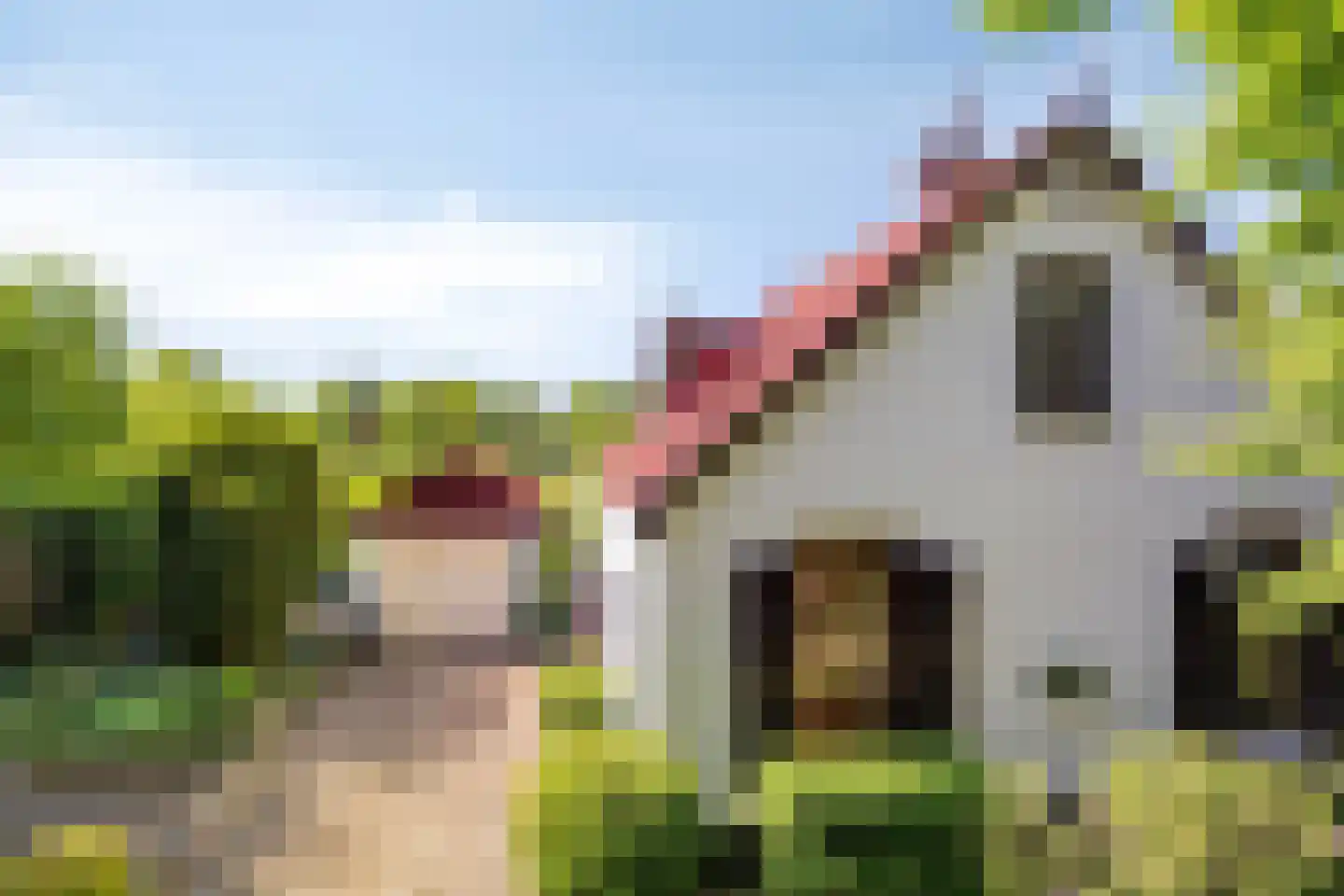 Hungerinkpad 3 Eefde thumbnail 5