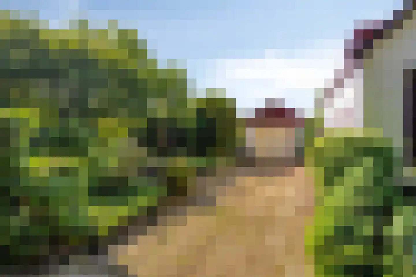 Hungerinkpad 3 Eefde thumbnail 52