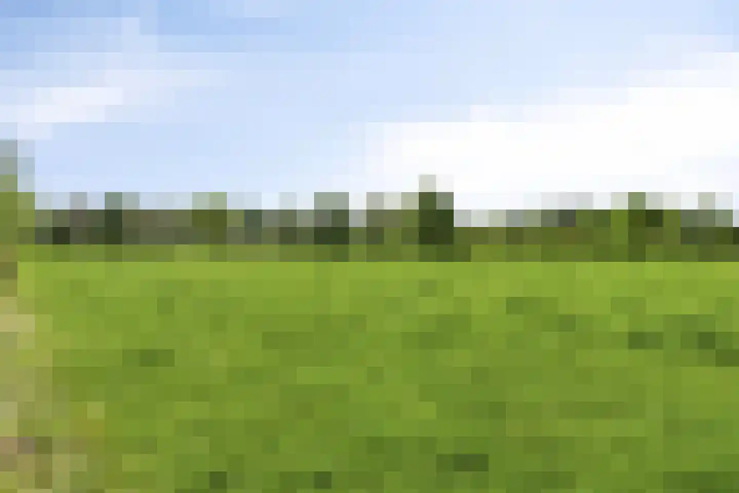 Hungerinkpad 3 Eefde thumbnail 54