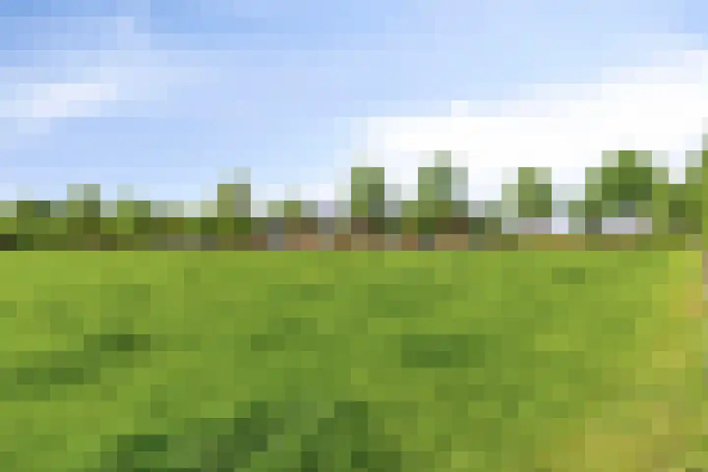 Hungerinkpad 3 Eefde thumbnail 55