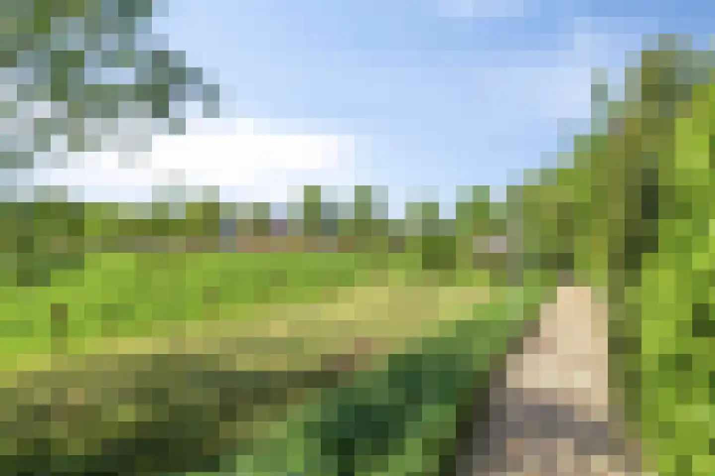 Hungerinkpad 3 Eefde thumbnail 56