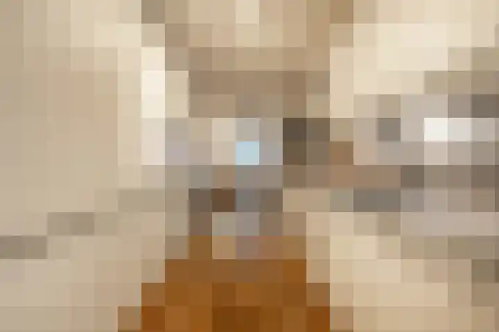 Huniadijk 19 Rotterdam thumbnail 13