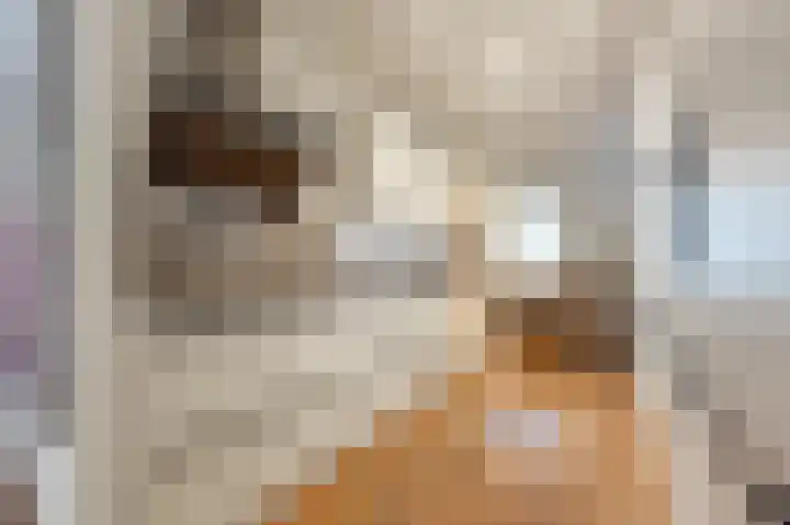 Huniadijk 19 Rotterdam thumbnail 15