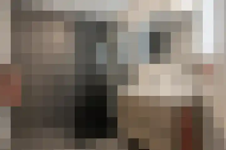 Huniadijk 19 Rotterdam thumbnail 4