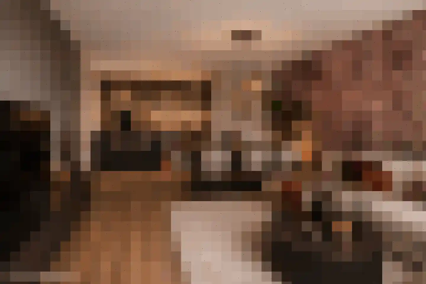 Huniadijk 23 Rotterdam thumbnail 12