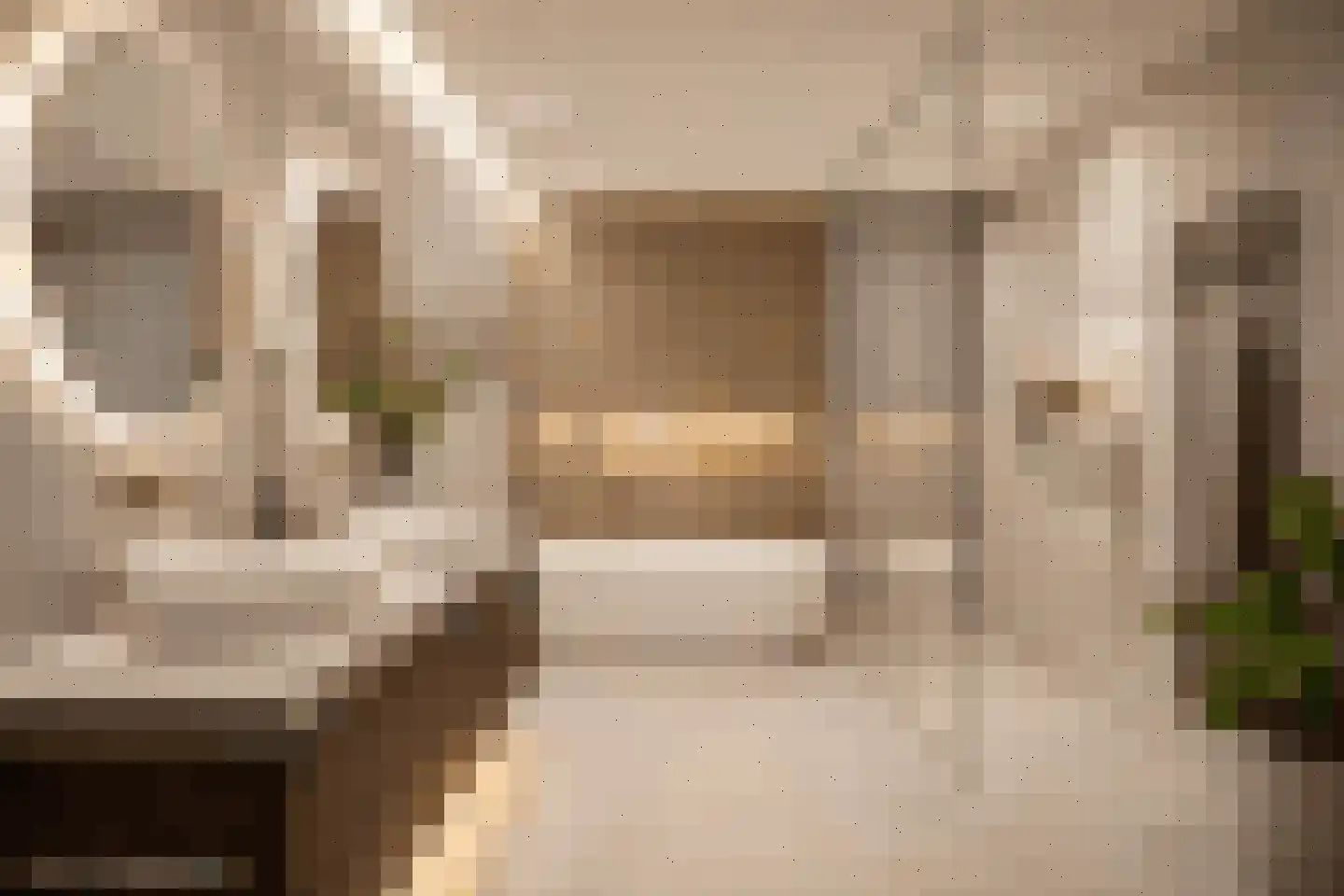 Huniadijk 23 Rotterdam thumbnail 21