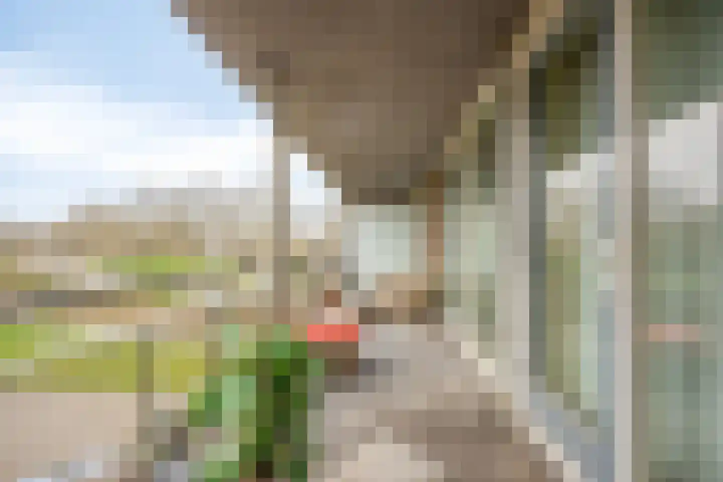 Huniadijk 29 Rotterdam thumbnail 13