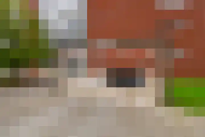 Huniadijk 35 Rotterdam thumbnail 11