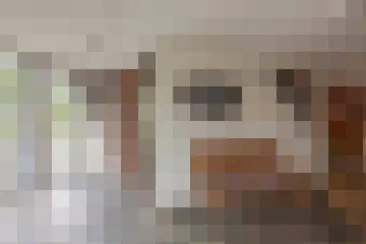 Huniadijk 35 Rotterdam thumbnail 14