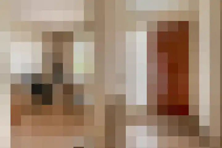 Huniadijk 35 Rotterdam thumbnail 17
