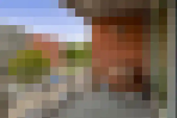 Huniadijk 35 Rotterdam thumbnail 28
