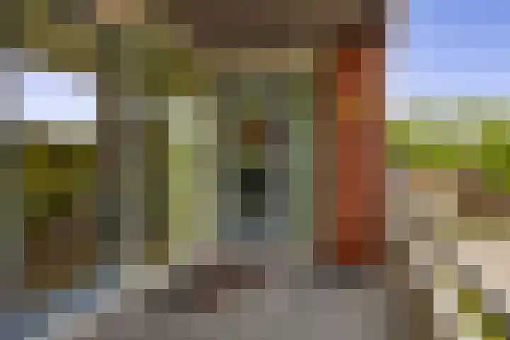 Huniadijk 35 Rotterdam thumbnail 29