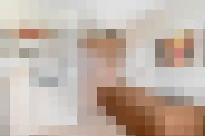 Huniadijk 35 Rotterdam thumbnail 37