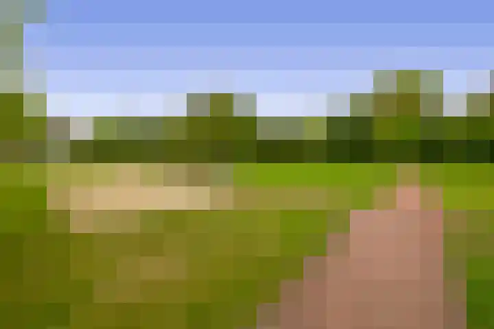 Huniadijk 35 Rotterdam thumbnail 5