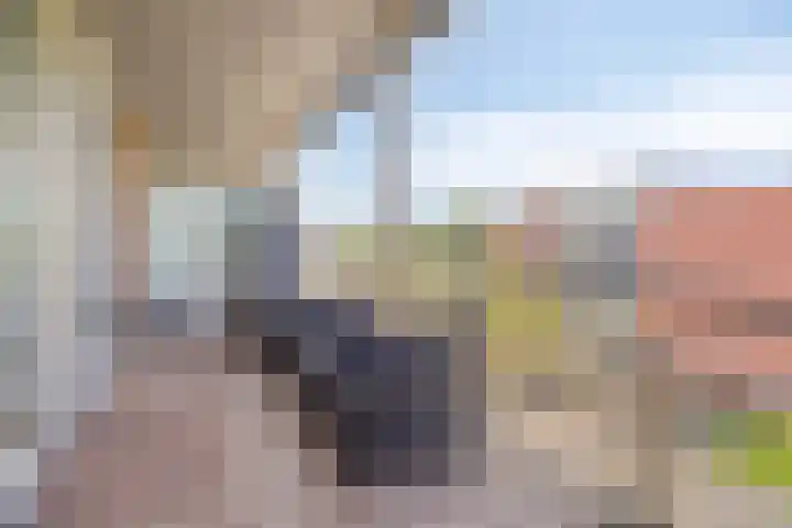 Huniadijk 39 Rotterdam thumbnail 25