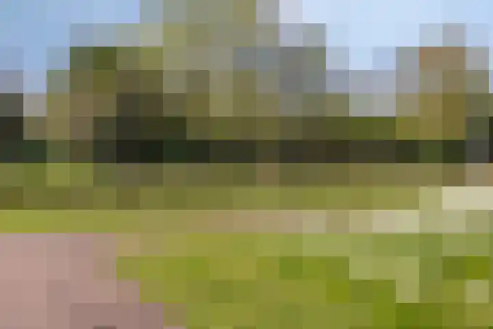 Huniadijk 39 Rotterdam thumbnail 27