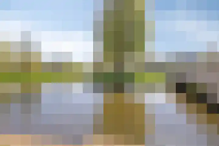 Huniadijk 39 Rotterdam thumbnail 28