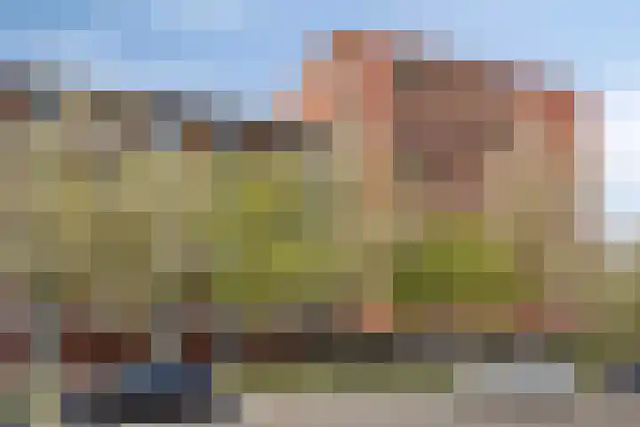 Huniadijk 39 Rotterdam thumbnail 4