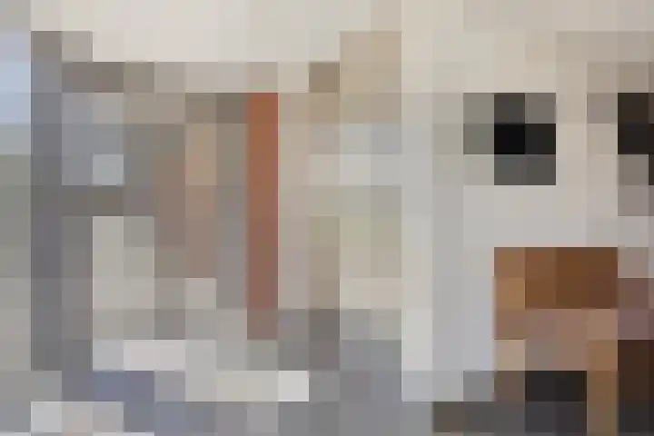 Huniadijk 39 Rotterdam thumbnail 8