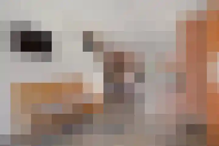Huniadijk 39 Rotterdam thumbnail 9