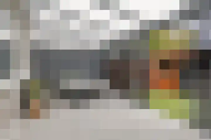 Huniadijk 504 Rotterdam thumbnail 13